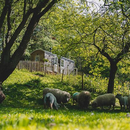 Hotel Somerset Shepherds Huts Winsham Zewnętrze zdjęcie